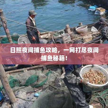 日照夜間捕魚攻略，一網(wǎng)打盡夜間捕魚秘籍！