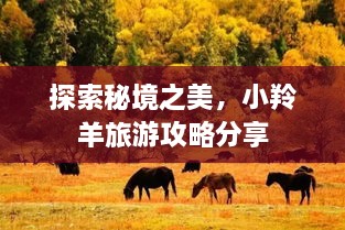探索秘境之美，小羚羊旅游攻略分享