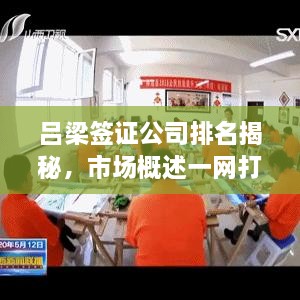 呂梁簽證公司排名揭秘，市場(chǎng)概述一網(wǎng)打盡