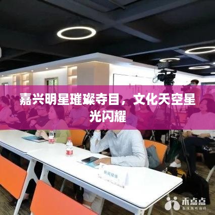 嘉興明星璀璨奪目，文化天空星光閃耀