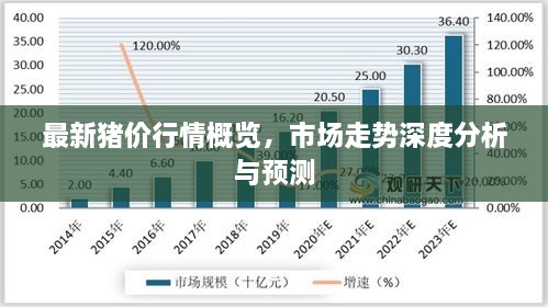 最新豬價行情概覽，市場走勢深度分析與預(yù)測