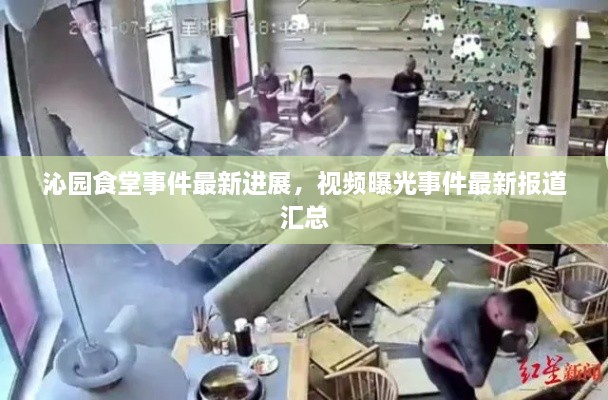 沁園食堂事件最新進展，視頻曝光事件最新報道匯總