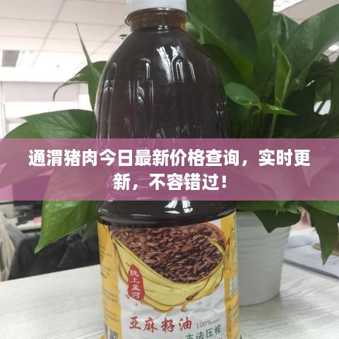 通渭豬肉今日最新價格查詢，實時更新，不容錯過！