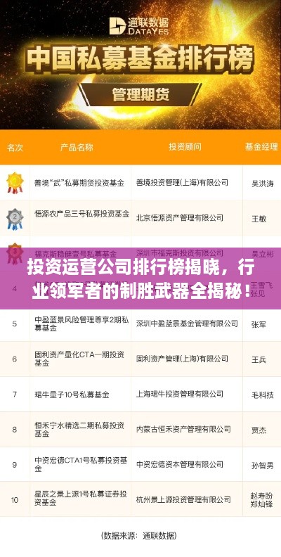 投資運(yùn)營公司排行榜揭曉，行業(yè)領(lǐng)軍者的制勝武器全揭秘！