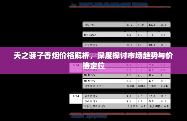 天之驕子香煙價(jià)格解析，深度探討市場(chǎng)趨勢(shì)與價(jià)格定位