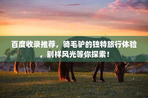 百度收錄推薦，騎毛驢的獨特旅行體驗，別樣風光等你探索！