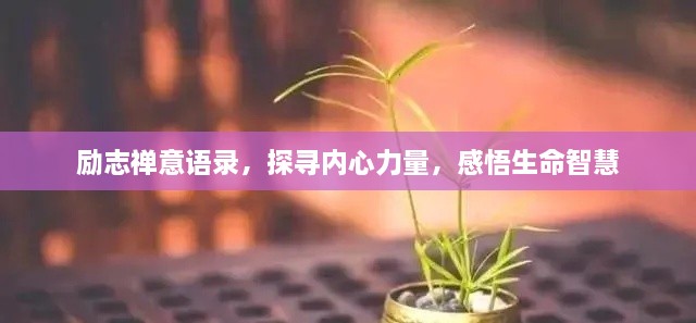 勵(lì)志禪意語(yǔ)錄，探尋內(nèi)心力量，感悟生命智慧