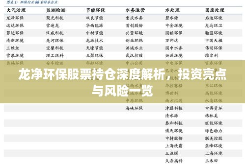 龍凈環(huán)保股票持倉(cāng)深度解析，投資亮點(diǎn)與風(fēng)險(xiǎn)一覽