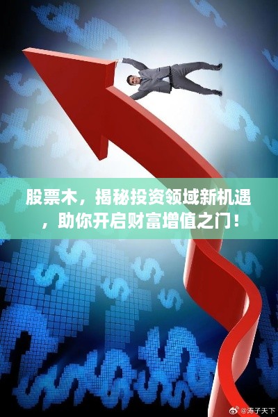 股票木，揭秘投資領(lǐng)域新機(jī)遇，助你開(kāi)啟財(cái)富增值之門(mén)！