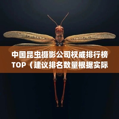 2025年1月 第29頁(yè)