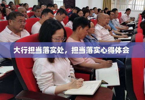 大行擔(dān)當(dāng)落實(shí)處，擔(dān)當(dāng)落實(shí)心得體會(huì) 