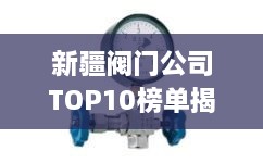 新疆閥門公司TOP10榜單揭曉，行業(yè)領(lǐng)軍者一覽無余