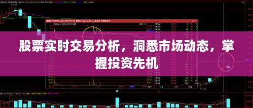 股票實(shí)時(shí)交易分析，洞悉市場(chǎng)動(dòng)態(tài)，掌握投資先機(jī)