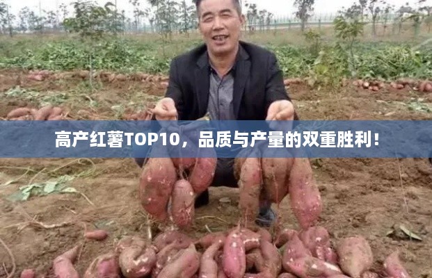 高產(chǎn)紅薯TOP10，品質(zhì)與產(chǎn)量的雙重勝利！
