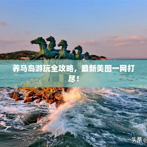 養(yǎng)馬島游玩全攻略，最新美圖一網(wǎng)打盡！