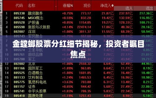 金螳螂股票分紅細節(jié)揭秘，投資者矚目焦點