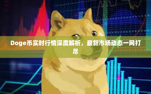 Doge幣實(shí)時(shí)行情深度解析，最新市場動(dòng)態(tài)一網(wǎng)打盡