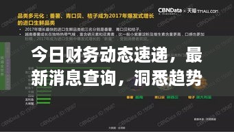 今日財(cái)務(wù)動(dòng)態(tài)速遞，最新消息查詢，洞悉趨勢，掌握財(cái)經(jīng)動(dòng)態(tài)