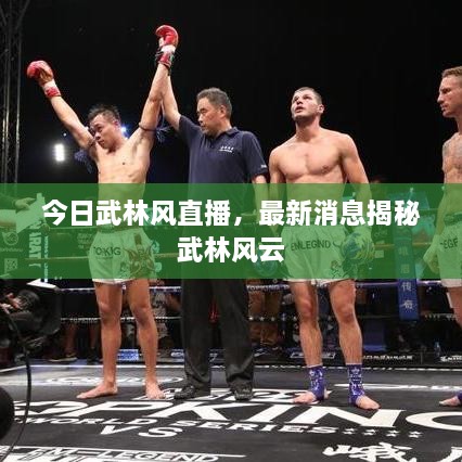 今日武林風(fēng)直播，最新消息揭秘武林風(fēng)云