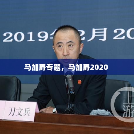 馬加爵專題，馬加爵2020 
