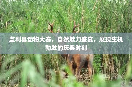 監(jiān)利縣動(dòng)物大賽，自然魅力盛宴，展現(xiàn)生機(jī)勃發(fā)的慶典時(shí)刻