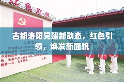 古都洛陽黨建新動態(tài)，紅色引領，煥發(fā)新面貌
