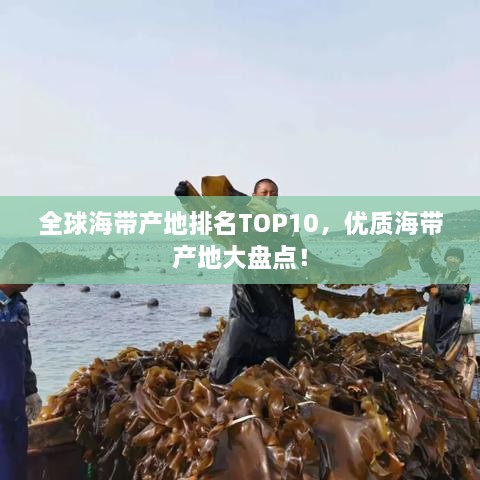 全球海帶產(chǎn)地排名TOP10，優(yōu)質(zhì)海帶產(chǎn)地大盤點！