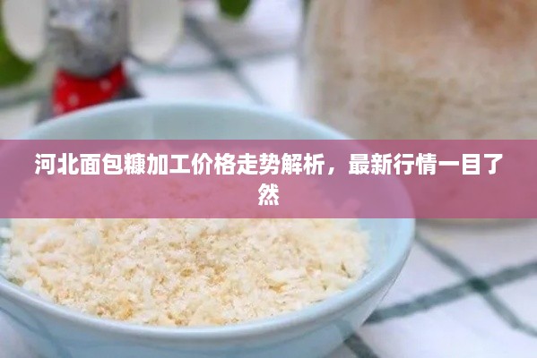 河北面包糠加工價格走勢解析，最新行情一目了然