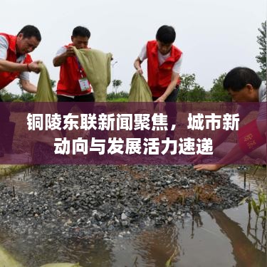 銅陵東聯(lián)新聞聚焦，城市新動向與發(fā)展活力速遞