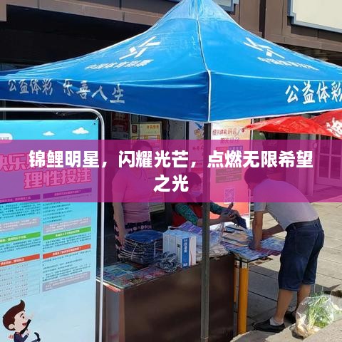 錦鯉明星，閃耀光芒，點燃無限希望之光