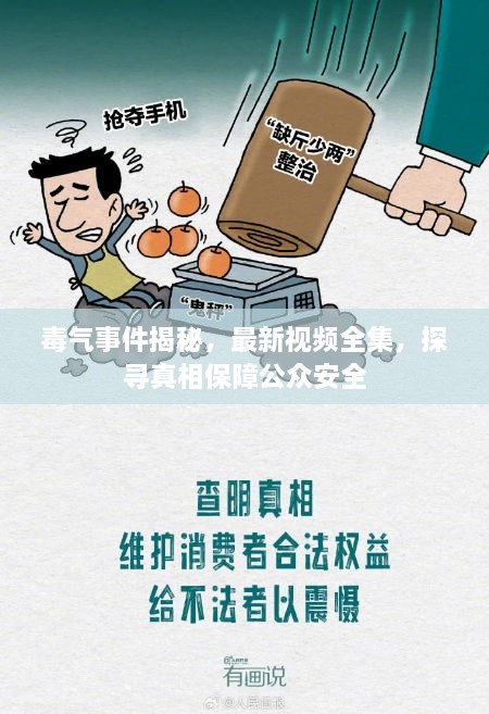 毒氣事件揭秘，最新視頻全集，探尋真相保障公眾安全