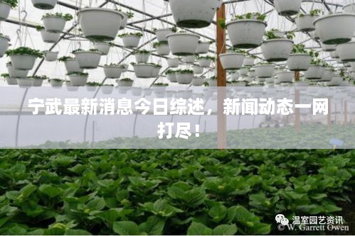 寧武最新消息今日綜述，新聞動(dòng)態(tài)一網(wǎng)打盡！