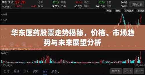 華東醫(yī)藥股票走勢(shì)揭秘，價(jià)格、市場(chǎng)趨勢(shì)與未來展望分析