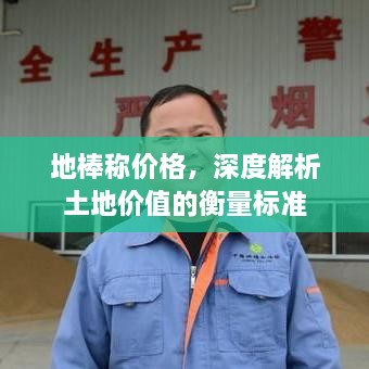 地棒稱價(jià)格，深度解析土地價(jià)值的衡量標(biāo)準(zhǔn)