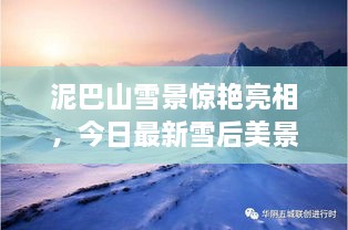泥巴山雪景驚艷亮相，今日最新雪后美景報(bào)道！