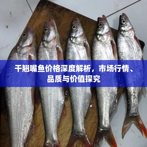 干翹嘴魚價格深度解析，市場行情、品質(zhì)與價值探究