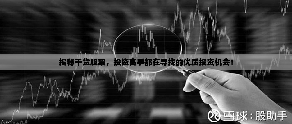 揭秘干貨股票，投資高手都在尋找的優(yōu)質(zhì)投資機(jī)會(huì)！