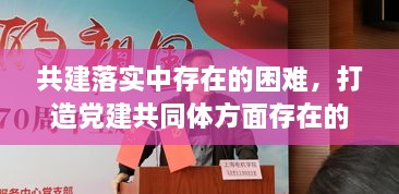 共建落實中存在的困難，打造黨建共同體方面存在的問題 