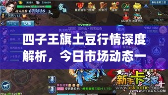 四子王旗土豆行情深度解析，今日市場動態(tài)一網打盡