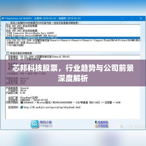 芯邦科技股票，行業(yè)趨勢(shì)與公司前景深度解析