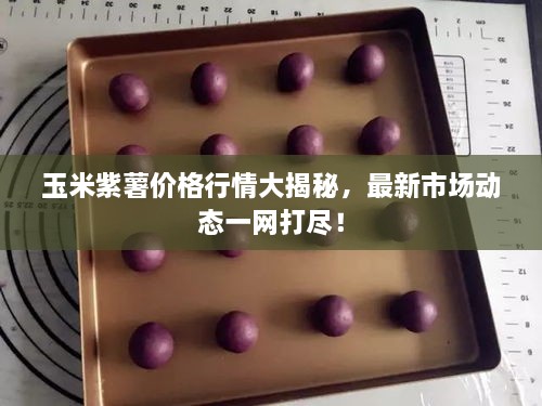 玉米紫薯價(jià)格行情大揭秘，最新市場(chǎng)動(dòng)態(tài)一網(wǎng)打盡！