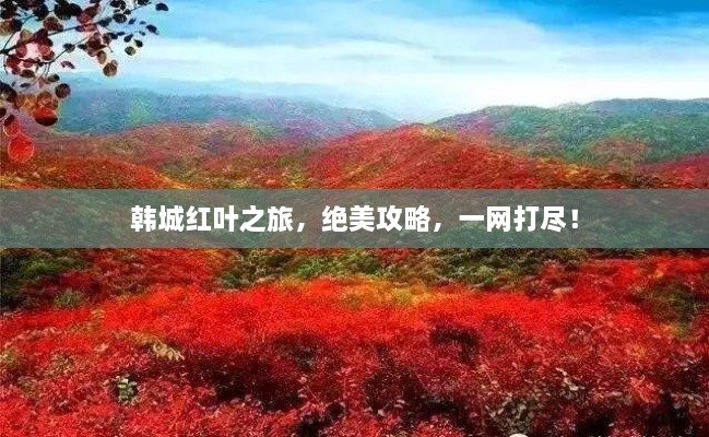韓城紅葉之旅，絕美攻略，一網(wǎng)打盡！