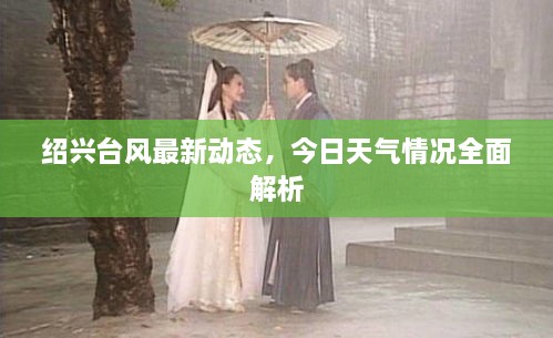 紹興臺風最新動態(tài)，今日天氣情況全面解析