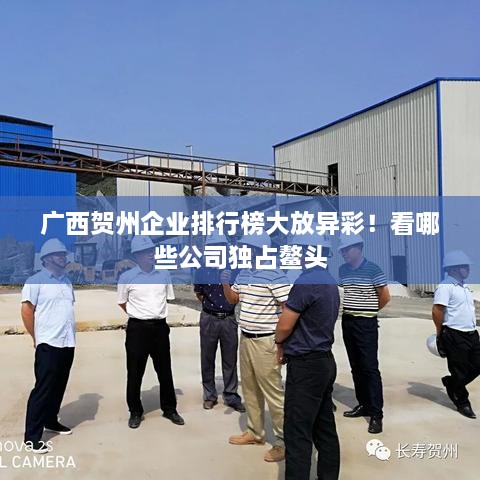 廣西賀州企業(yè)排行榜大放異彩！看哪些公司獨占鰲頭
