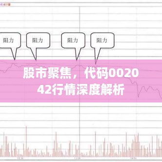 股市聚焦，代碼002042行情深度解析