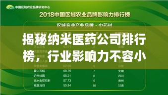 揭秘納米醫(yī)藥公司排行榜，行業(yè)影響力不容小覷！