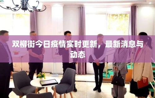 雙柳街今日疫情實(shí)時(shí)更新，最新消息與動(dòng)態(tài)