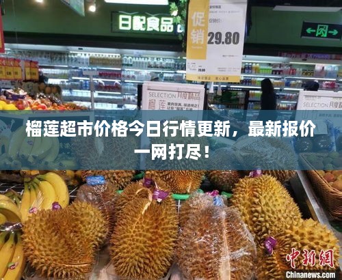 榴蓮超市價(jià)格今日行情更新，最新報(bào)價(jià)一網(wǎng)打盡！