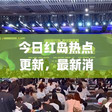 今日紅島熱點(diǎn)更新，最新消息一覽