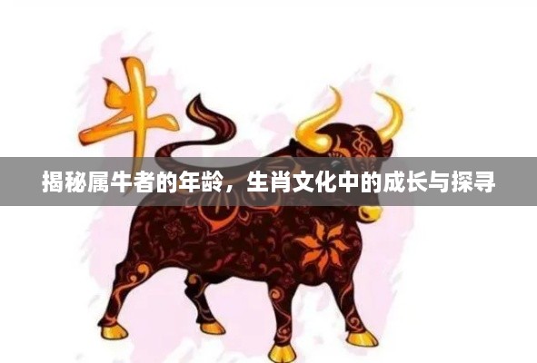 揭秘屬牛者的年齡，生肖文化中的成長(zhǎng)與探尋